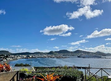 saint-kitts-and-nevis/saint-mary-cayon-parish/restaurant/palms-court-gardens