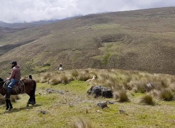 ecuador/azuay-region/restaurant/izhcayrumi-restaurant