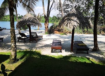 gabon/minkebe-national-park/restaurant/river-lodge-resort