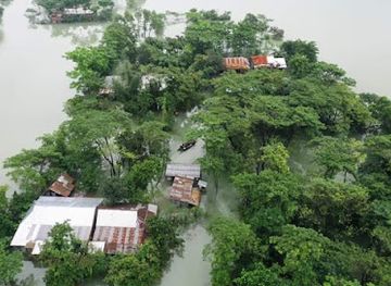 bangladesh/ratargul-swamp-forest/restaurant/meatup