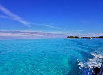 the-bahamas/bimini-islands/restaurant/koko-plums