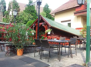 hungary/sopron-wine-region/restaurant/aranyfacan-vendeglo-sopron