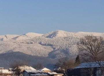 romania/covasna/restaurant/orkla-foods