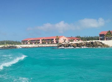 the-bahamas/bimini-islands/restaurant/the-big-dipper