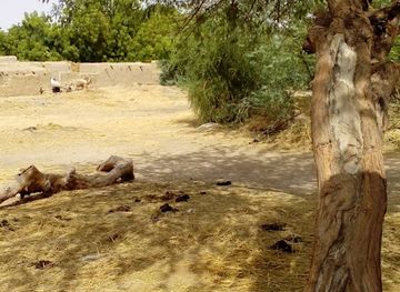 niger/tillaberi-region/restaurant/restaurant-tchandalo
