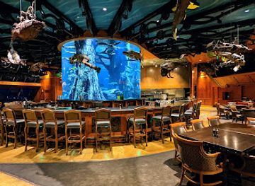 tennessee/memphis/restaurant/the-lookout-at-the-pyramid