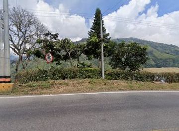 colombia/leticia/restaurant/puerto-leticia