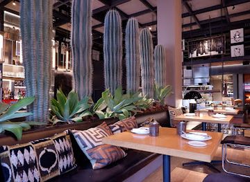 spain/alicante/restaurant/terre