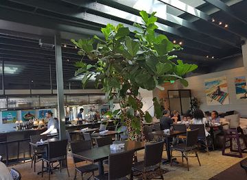 california/malibu/restaurant/ollo