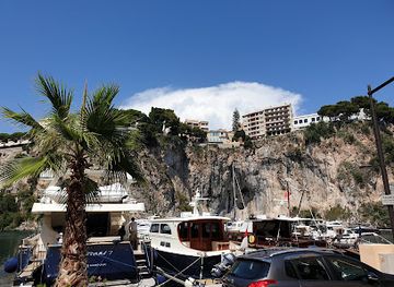 monaco/jardin-exotique/restaurant/la-saliere