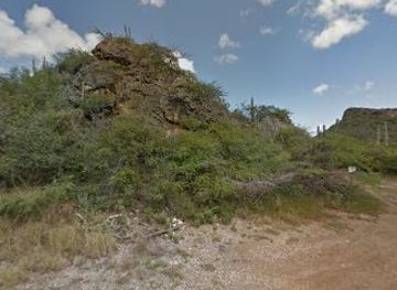 curacao/caracas-bay/restaurant/the-cove-beach-club