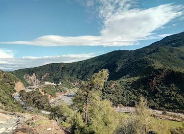 algeria/metidja-plain/restaurant/restaurant-el-djoudi