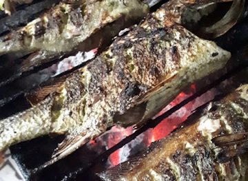 the-gambia/bakau/restaurant/ashu-s-restaurant