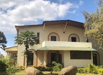 malawi/mulanje-mountain/restaurant/arthouse-cafe-and-shop