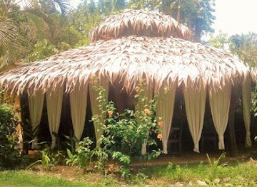 costa-rica/cahuita-national-park/restaurant/casa-restaurant-caribbean-coconut