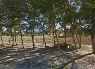 jordan/tafilah/restaurant/shata-w-tatbila-restaurant