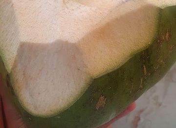 jamaica/morant-bay-area/restaurant/rovers