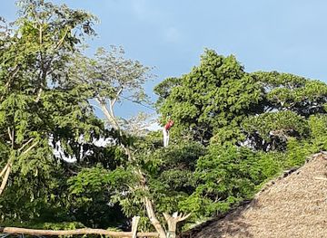 colombia/catatumbo/restaurant/estadero-recreacional-ecologico-rancho-paraiso