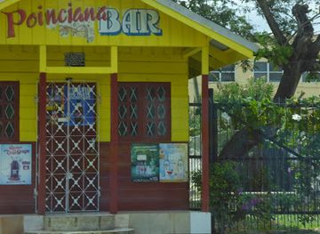 jamaica/portland-ridge/restaurant/not-everything-curry-restaurant-bar