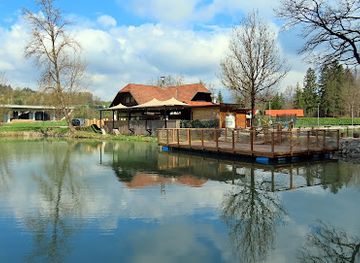 slovenia/upper-carniola/restaurant/ribnik-zeje