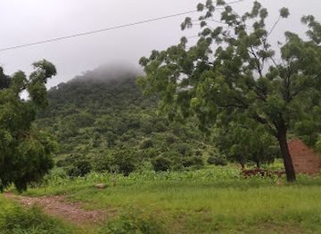 cameroon/maroua/restaurant/casa-del-bro-maroua-cameroun