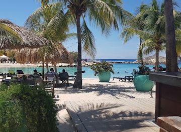 curacao/mambo-beach/restaurant/the-green-house