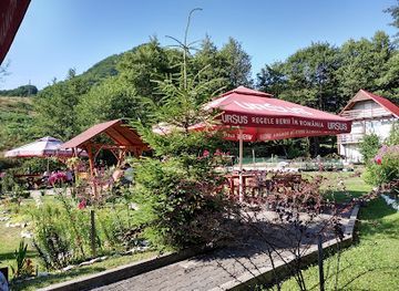 romania/maramures/restaurant/pastravaria-izvorul-rece
