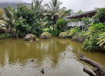 new-caledonia/kaala-gomen/restaurant/auberge-de-gaulle