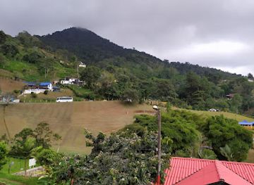colombia/cauca-valley/restaurant/la-vaca-original