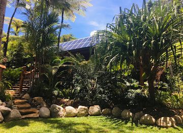 australia/daintree-rainforest/restaurant/dragonfly-cape-trib