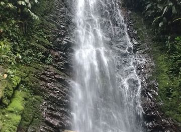 ecuador/mindo-cloud-forest/restaurant/las-delicias-de-mindo