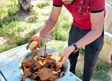 tunisia/chott-el-jerid/restaurant/mazrae-maez