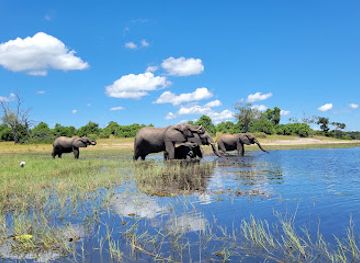 botswana/chobe-national-park/restaurant/chobe-national-park