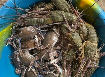 cote-d-ivoire/san-pedro/restaurant/o-calme-beach