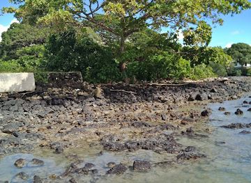 samoa/palauli/restaurant/loui-s-restaurant
