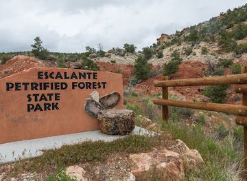 utah/escalante/restaurant/escalante-petrified-forest-state-park