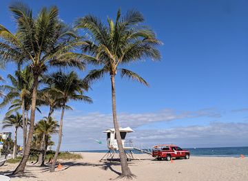 florida/fort-lauderdale-beach/restaurant/wild-thyme-oceanside-eatery