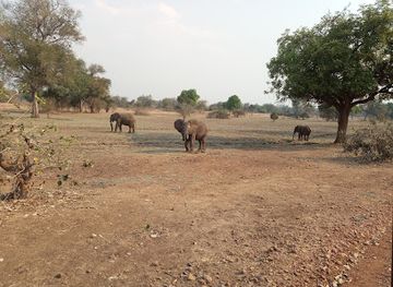 zambia/south-luangwa-national-park/restaurant/lion-camp-south-luangwa-national-park