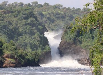 uganda/murchison-falls-national-park/restaurant/pakuba-safari-lodge