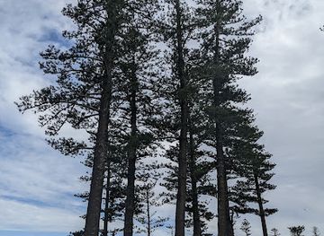 norfolk-island/slaughter-bay/restaurant/on-da-cliff
