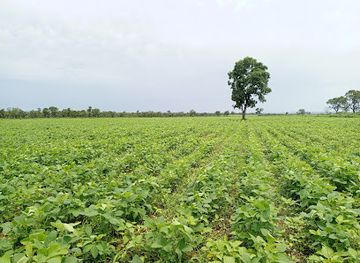 ghana/bono-east-region/restaurant/couple-s-magic