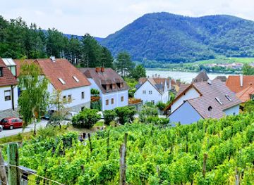 austria/wachau-valley/restaurant/alter-klosterkeller