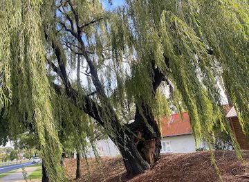 australia/goulburn-valley/restaurant/steam-mill-restaurant