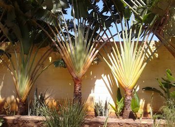 paraguay/villarrica/restaurant/comedor-tajy