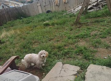 mongolia/khar-nuur/restaurant/best-restaurant