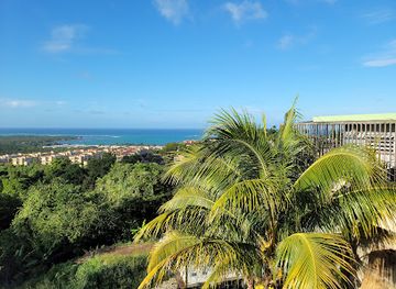 puerto-rico/el-yunque-national-forest/restaurant/terraza-montemar-restaurant