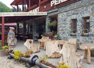 slovakia/slovak-paradise-national-park/restaurant/restauracia-pelle