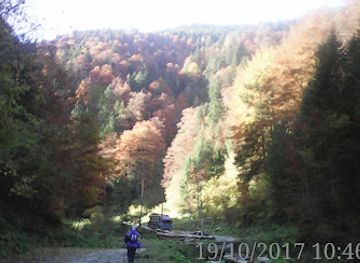 romania/brasov/restaurant/parc