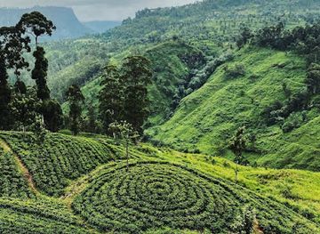 sri-lanka/horton-plains-national-park/restaurant/ayurveda-coffee-shop
