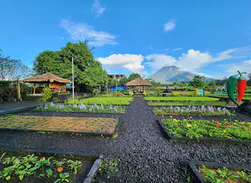 Cocoys Food Garden